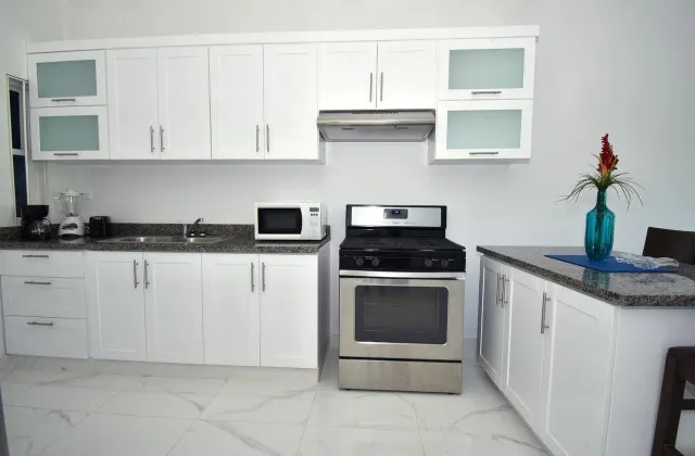 Rosil Place Apartment Kitchen 2